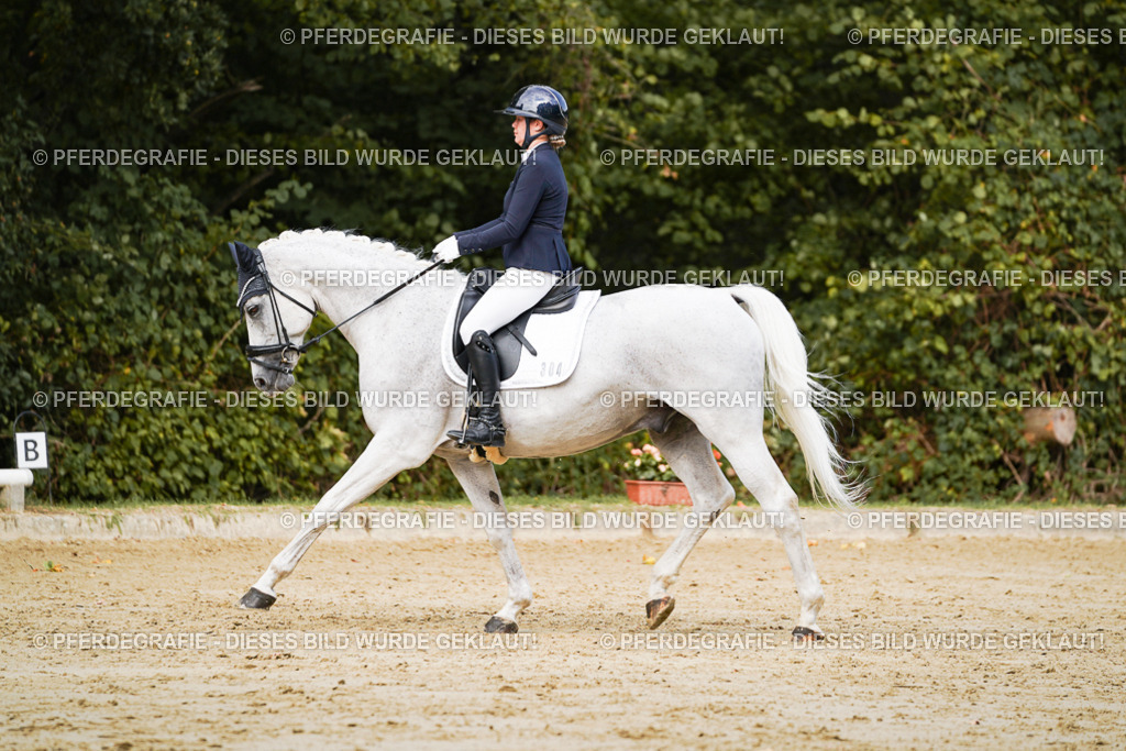 DSC02730 | Pferdegrafie