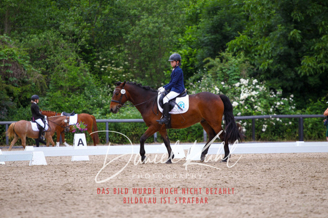 DKP46248 | Turnierfotos kaufen im Webshop von Daniel Kuhl Photography – entdecke professionelle Reitsportfotos aus Turnieren & Events. Hochwertige Turnierbilder online bestellen & sichern. Jetzt Fotos von Reitsportturnieren kaufen!