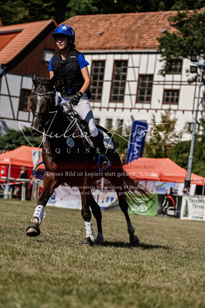 DSC_2586 | Pferde- und Turnierfotografie in Westsachsen. Pferdeportraits, Auftragszeichnungen und intuitive Kunst.