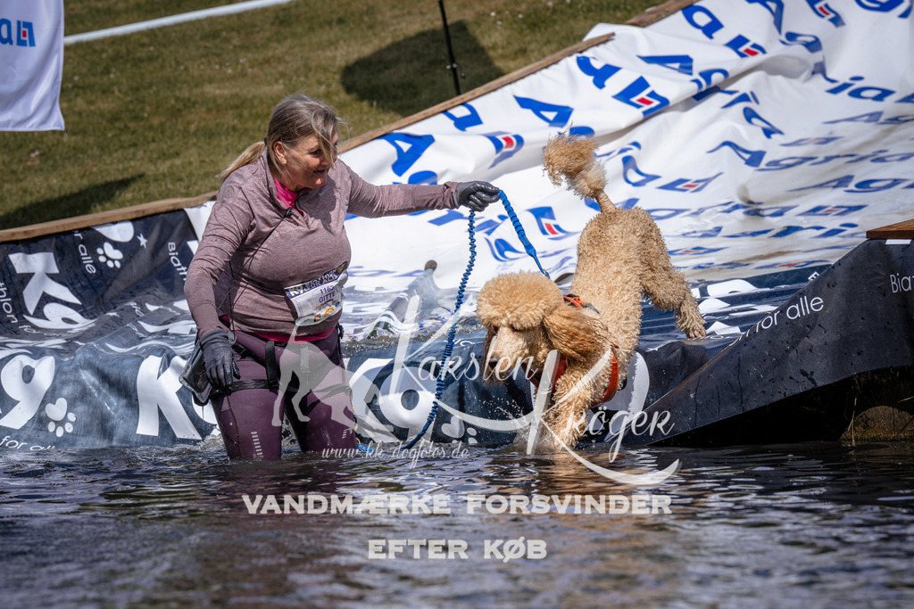 _ZZ932420936 | kk-dogfotos