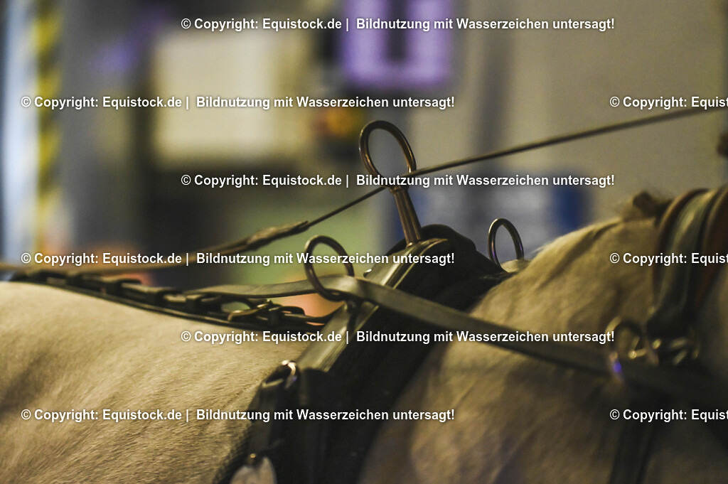 20241115_Fahren-iWest_TOMsPiC_0490 | Foto: Thomas Hartig