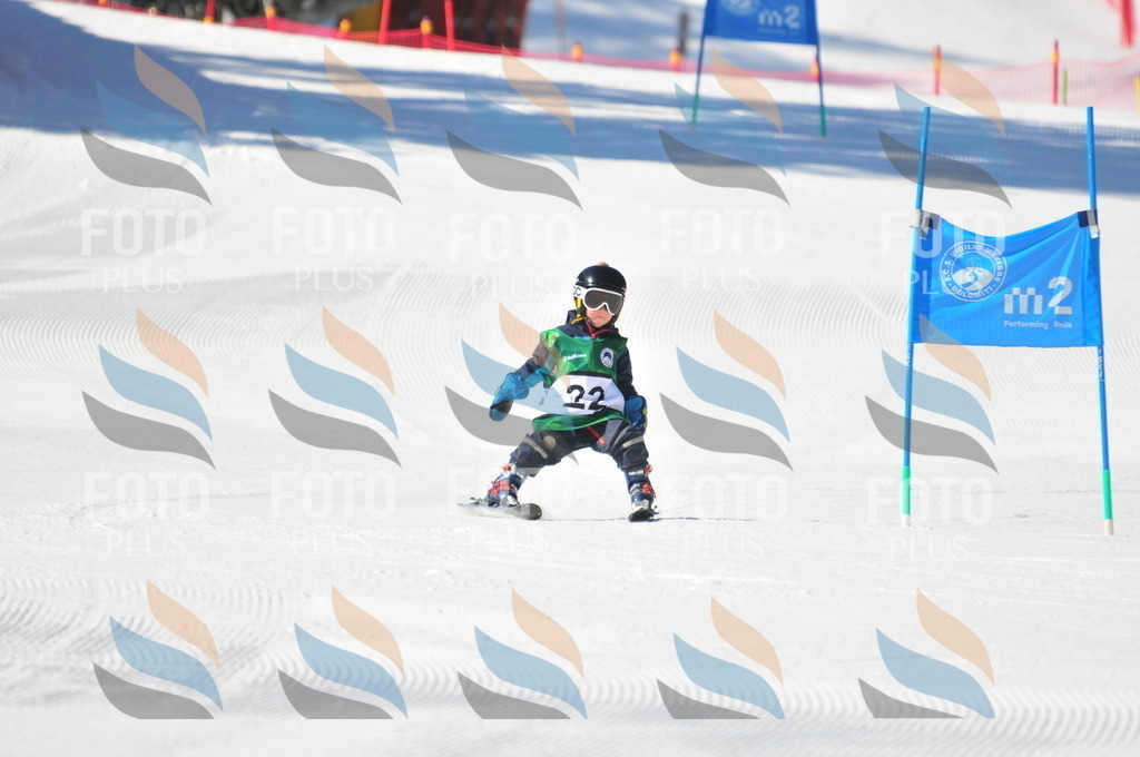 C2531 | holidayphoto