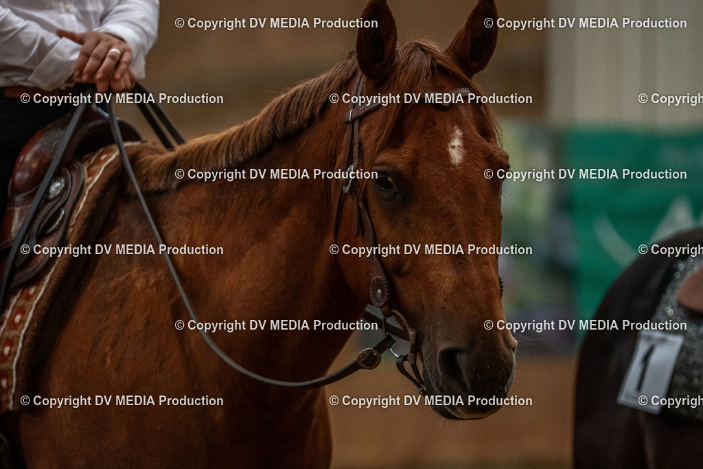 Neckargemünd Tag 3-135 | dv-media-shop - Realisiert mit Pictrs.com