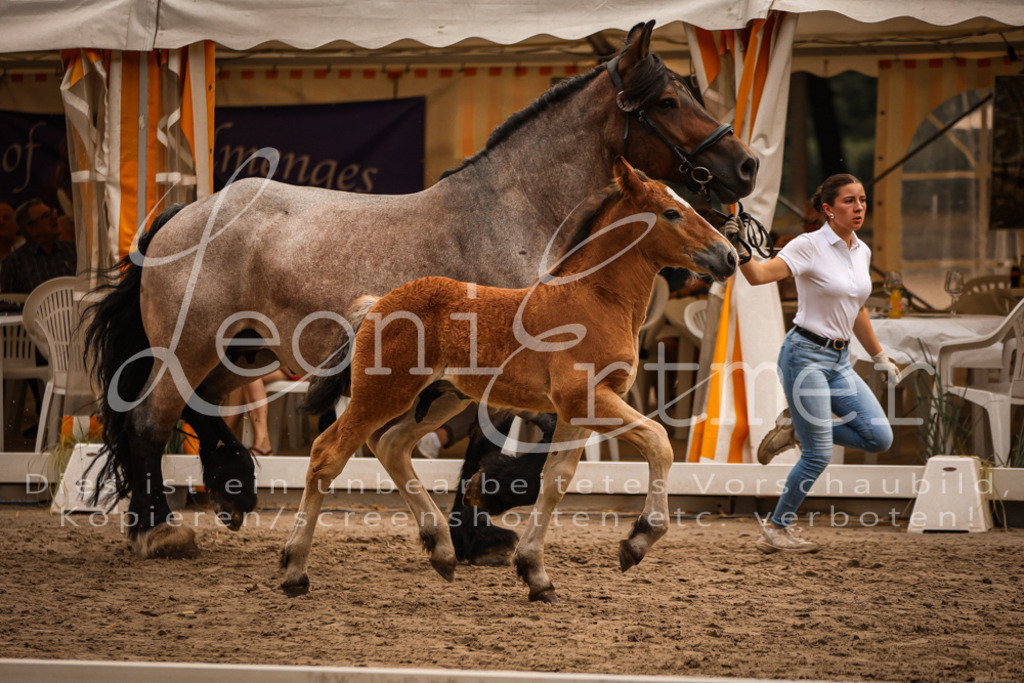 SaHF00009 | Leoni Ertmer Photography - Realisiert mit Pictrs.com