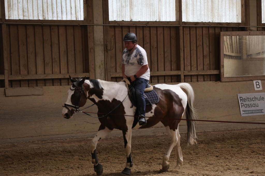 0P6A9119 | Willkommen bei Brunnmayr - Design & Fotografie – Ihrem Spezialisten für Reitturniere und Pferdeveranstaltungen in Oberösterreich, Salzburg und Bayern! Seit über 17 Jahren sind wir leidenschaftlich dabei.