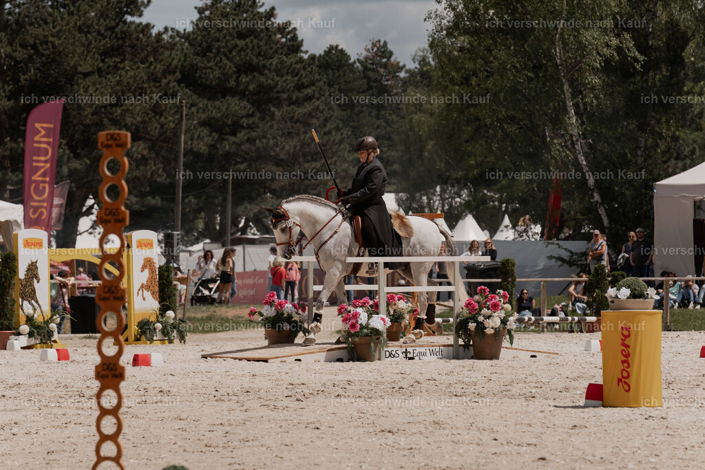 WE_ST_Stoib_321_PI2025_1148 | Pferd International München 2025