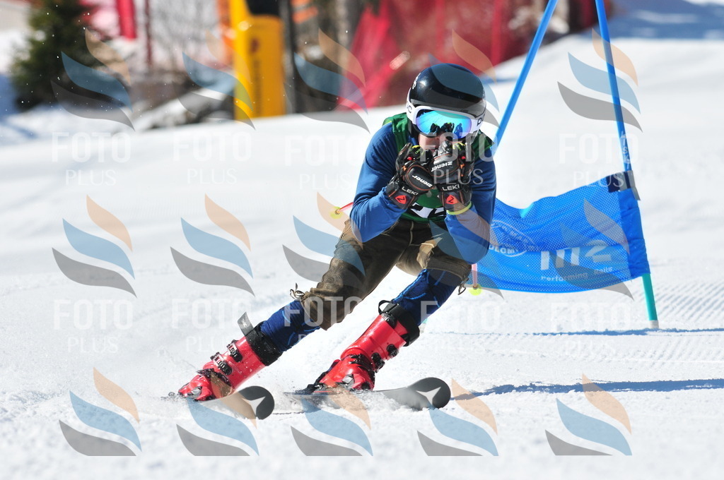 C3484 | holidayphoto