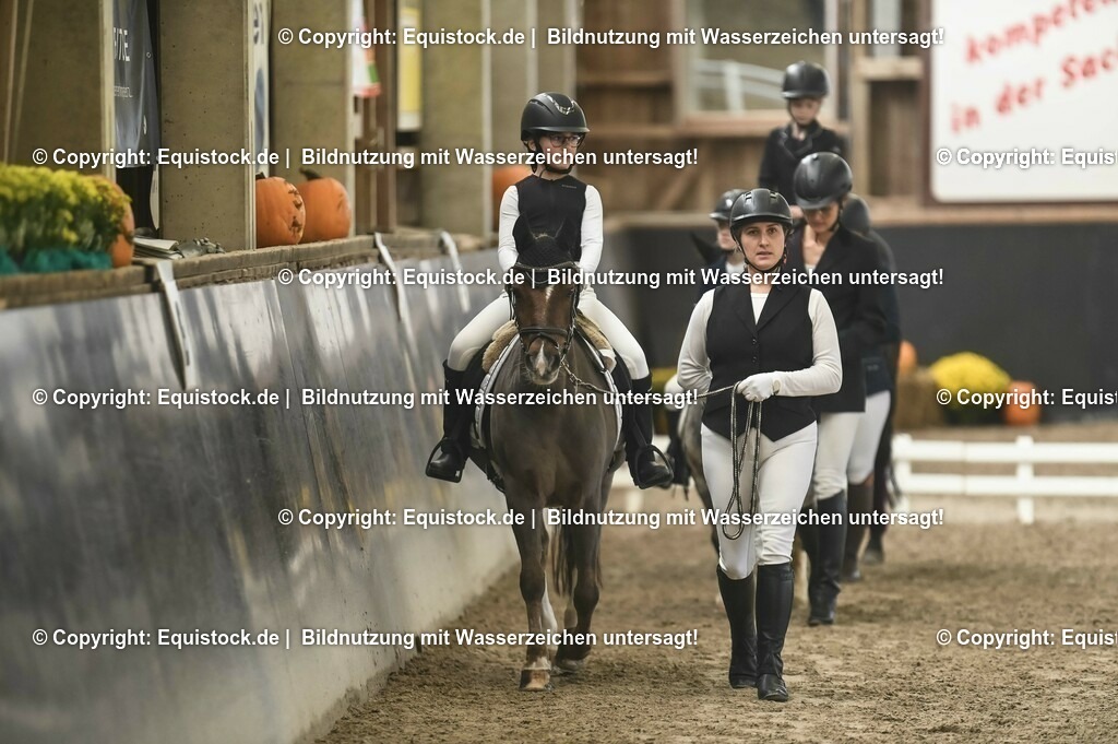 20231029_Führzügel-WB_Abteilung-01_0052 | Foto: Thomas Hartig