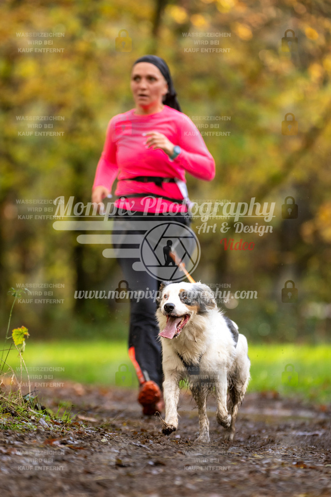 MompixPhotography_Bischwiller23_Canicross-126 | PayLife