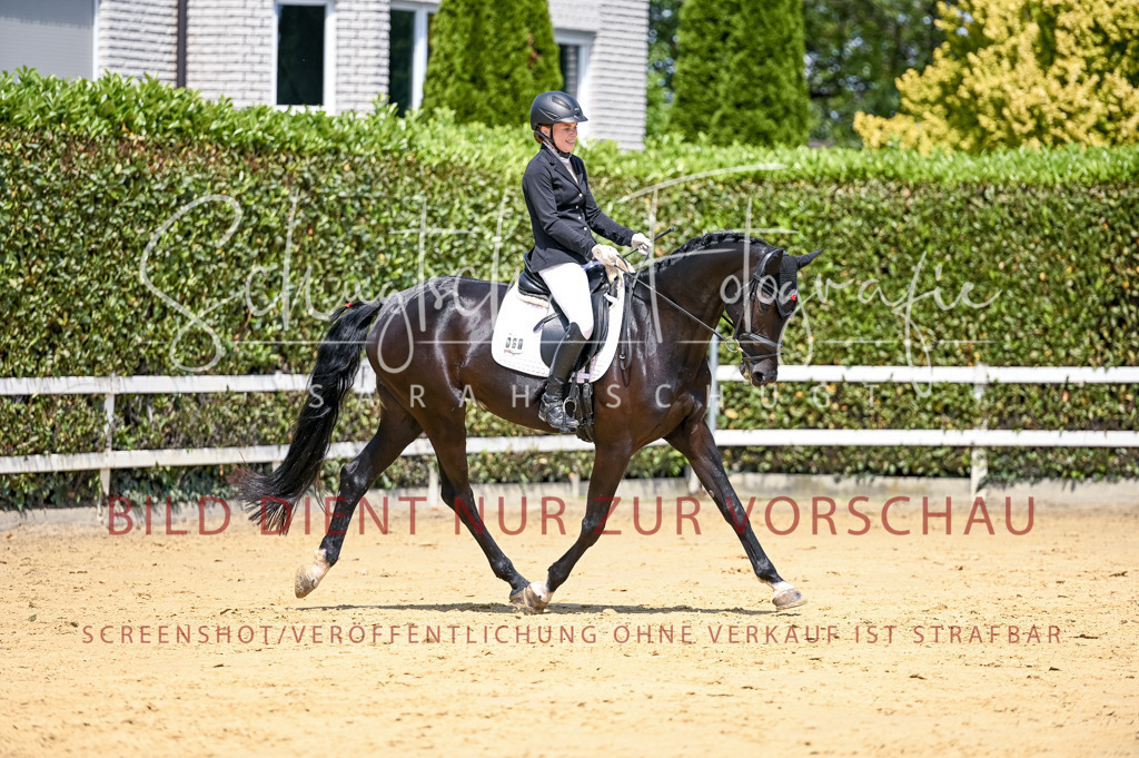 Schugtsche-Aluta25-49.Dressurpferdeprf.A-216 | Schugtsche Fotografie - Realisiert mit Pictrs.com