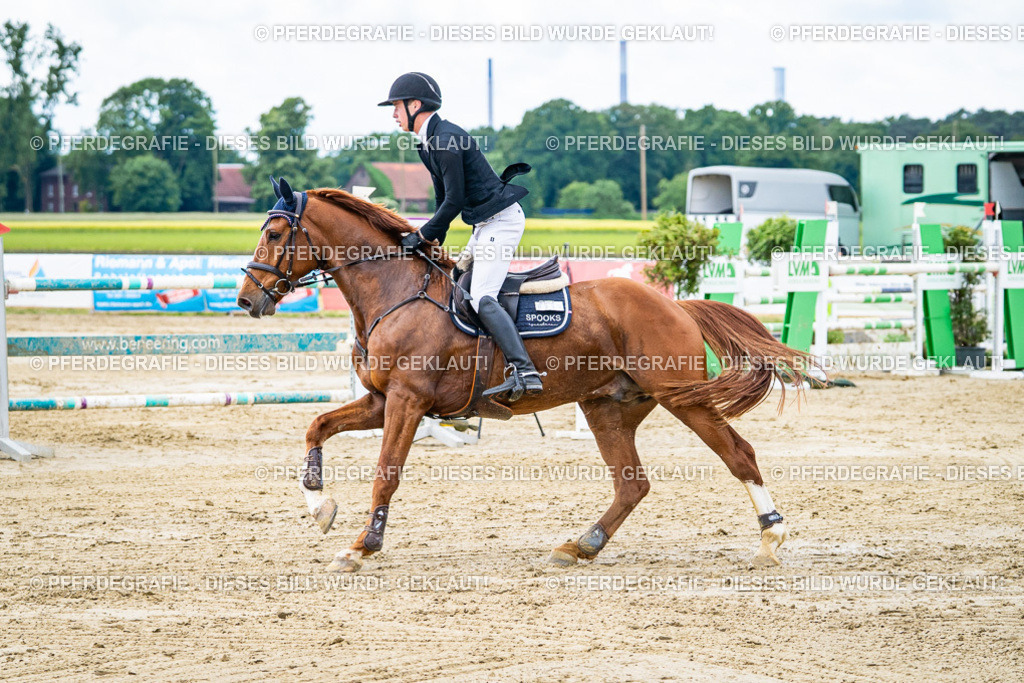 DSC04884 | Pferdegrafie