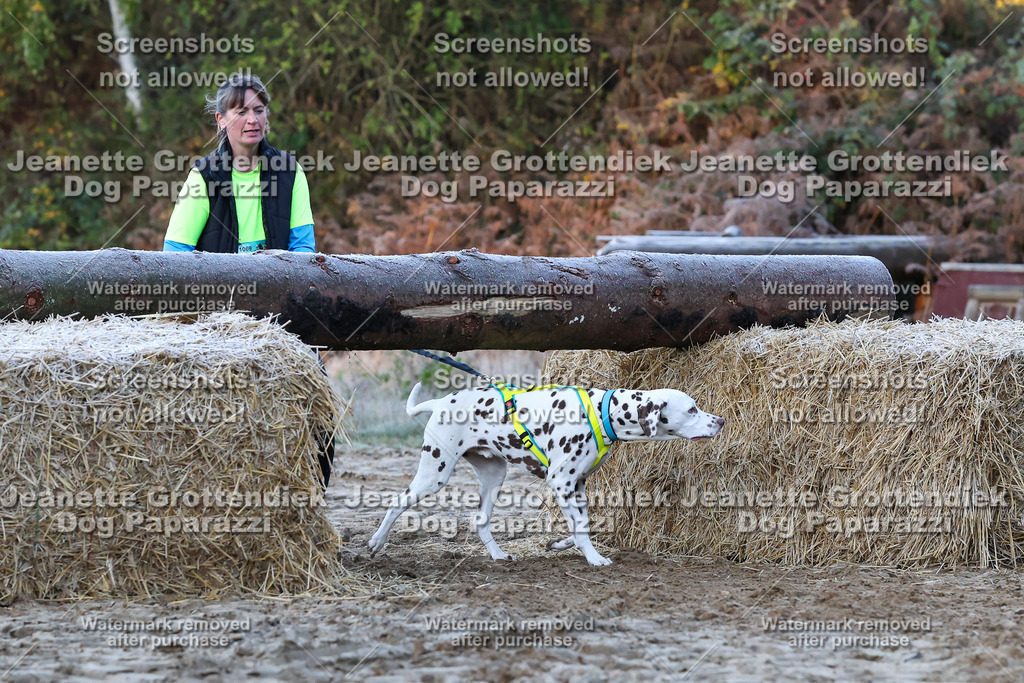 Dog Paparazzi - Strongdog 10-25-299 | Dog Paparazzi Jeanette Grottendiek Fotografie & Videografie - Realisiert mit Pictrs.com