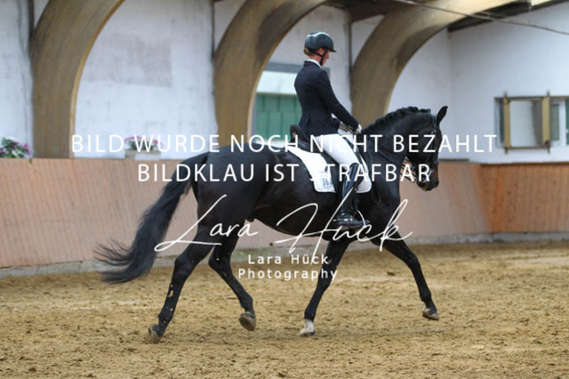 DKP45168 | larahueckfotografie