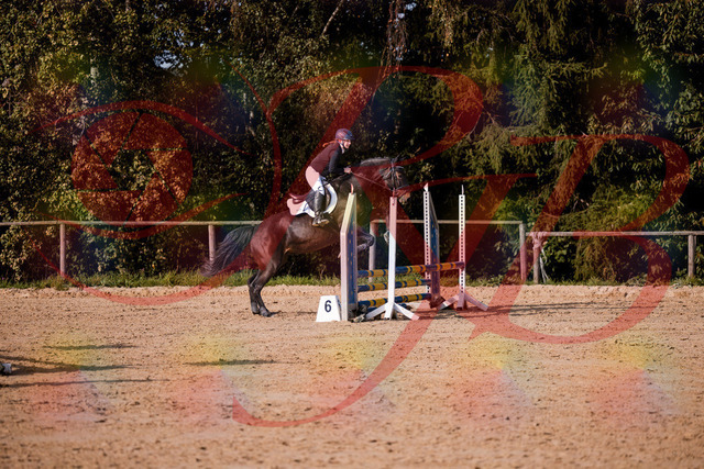2026_10_03_Siefer-Hof_155001_Z81_68950961 | Professionelle Reitsport-, Turnier- und Eventfotografie von Robert Broda. Galerien mit ausgewählten und bearbeiteten Bildern direkt online ansehen und bestellen.