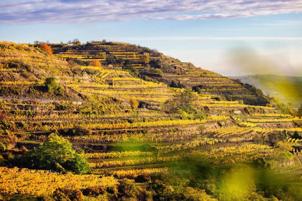 foto_c_pfeffel-partner-0104-R52_0362-Bearbeitet | alexander-pfeffel - Realisiert mit Pictrs.com