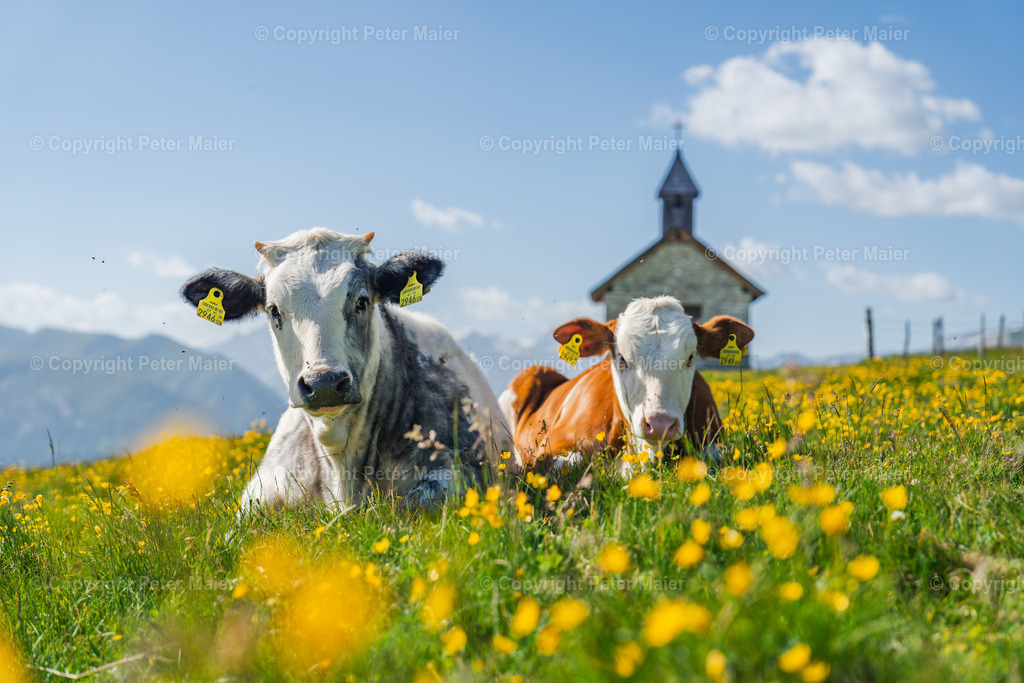 DSC02061 | piet_flosse