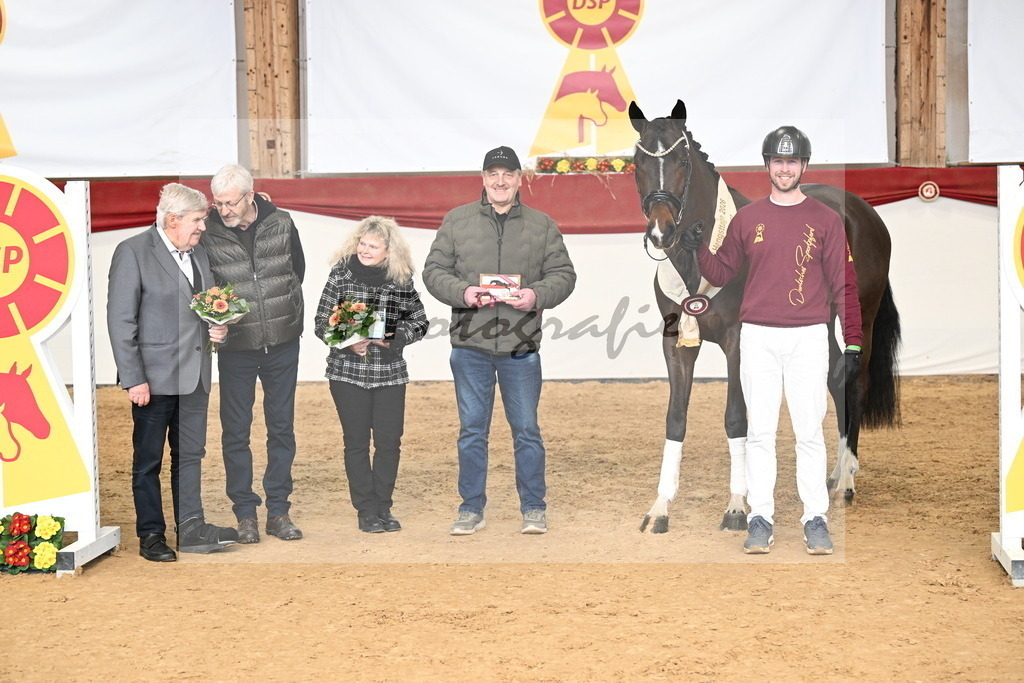 Kat.-Nr. 14 v. Cornet_s Balou (Balou du Reventon Z)_Keitel und Laue_3265347 | hf-fotografie - Realisiert mit Pictrs.com