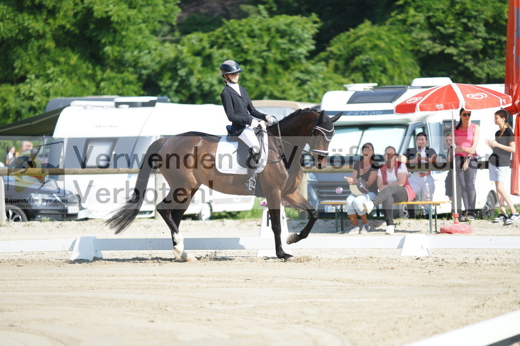 DSC03948 | equestrian-live-com