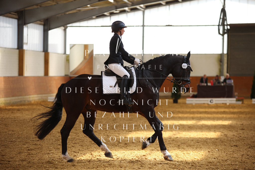 IMGT4535 | pl-fotografie