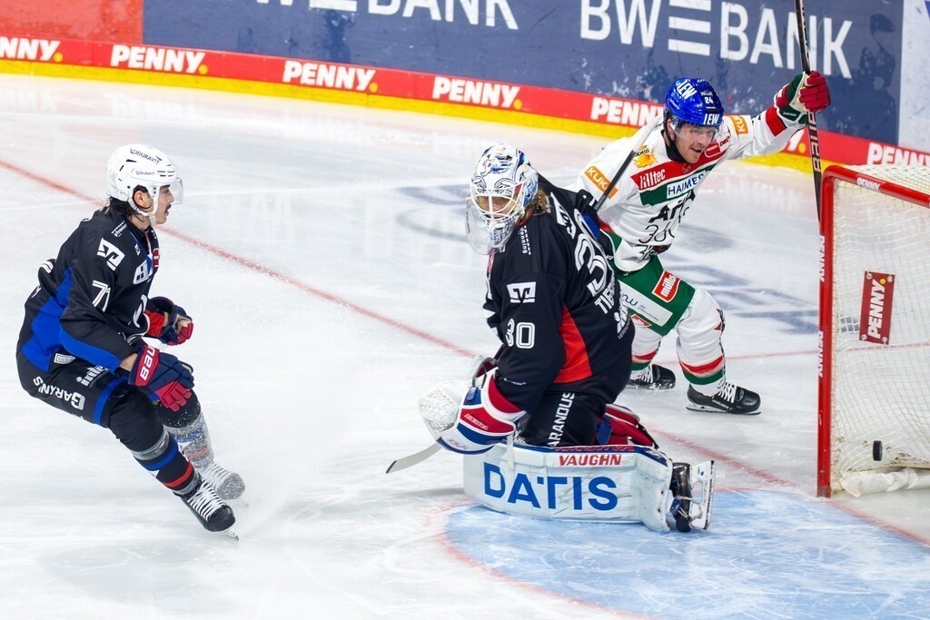 DEL, Deutsche Eishockey Liga Saison 2024/25, 16. Spieltag: Adler Mannheim gegen Augsburger Panther. Bild: Thomas Jordan Trevelyan (24, Augsburg) erzielt das 1:1 für die Panther | DEL, Deutsche Eishockey Liga Saison 2024/25, 16. Spieltag: Adler Mannheim gegen Augsburger Panther. Bild: Thomas Jordan Trevelyan (24, Augsburg) erzielt das 1:1 für die Panther - Realisiert mit Pictrs.com