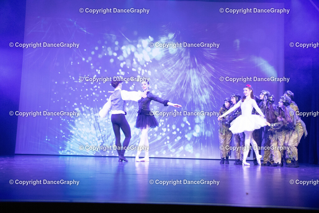 GPHY3467 | DanceGraphy - Realisiert mit Pictrs.com