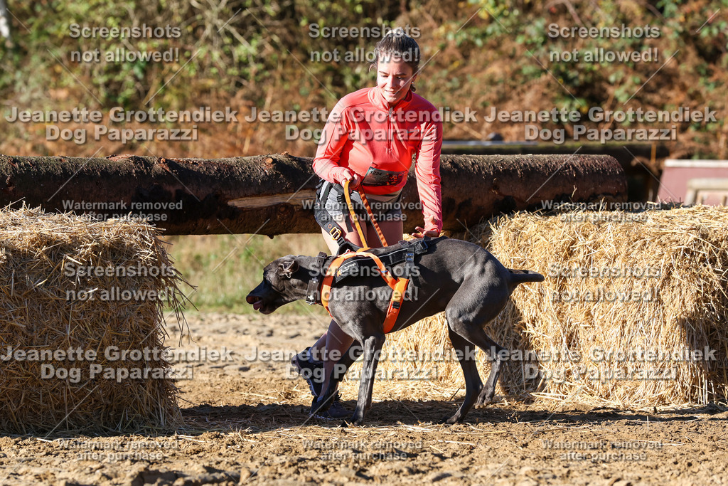 Dog Paparazzi - Strongdog 10-25-1774 | Dog Paparazzi Jeanette Grottendiek Fotografie & Videografie - Realisiert mit Pictrs.com