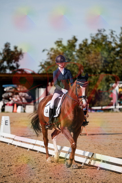 2026_10_03_Siefer-Hof_123655_Z63_54597659 | Professionelle Reitsport-, Turnier- und Eventfotografie von Robert Broda. Galerien mit ausgewählten und bearbeiteten Bildern direkt online ansehen und bestellen.