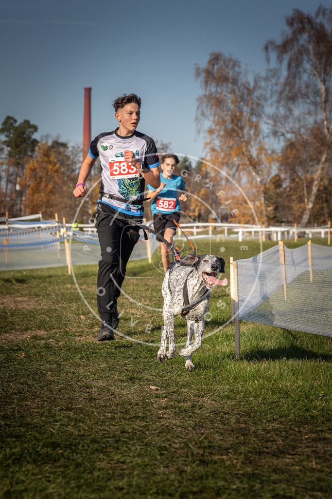 CaniXpix_0L8A8197 | Hundefotografie, Tierfotograf, Pfotenfotografie, Fotoshooting Hund, Hunde Portrait, Hundesport, Hundeportraits, Heideshooting, Hunde, Sportfotograf, Hundefotograf, Turnierhundsport, THS,  - Realisiert mit Pictrs.com