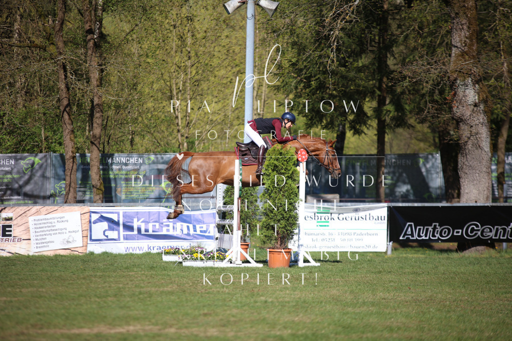 IMGT0222 | pl-fotografie