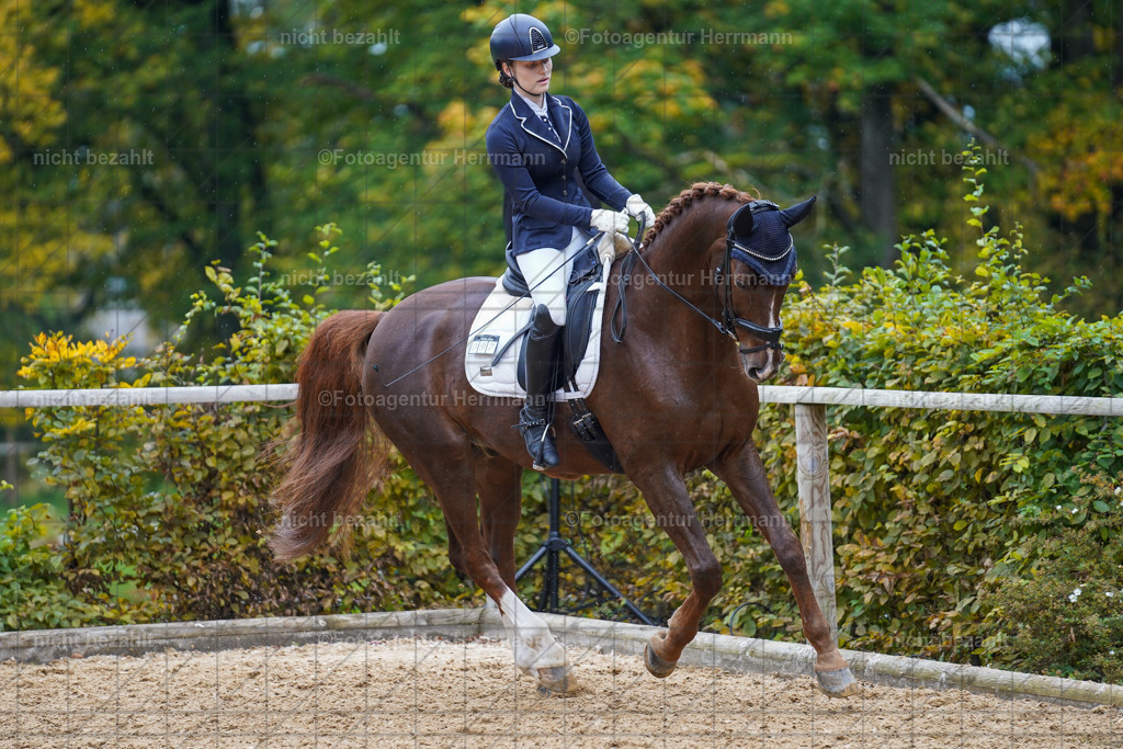 20221008-FAH01816 | Diessen am Ammersee, 2022, Dressur- und Springturnier, Reitsportbilder, Turnierfotografen Bayern, Pferdefotografen, Fotoagentur Herrmann, Turnierbilder