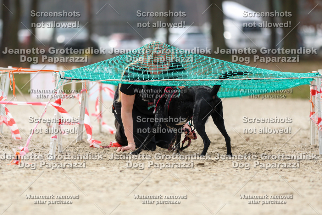 Dog Paparazzi - Strongdog North Mrz26-5635 | Dog Paparazzi Jeanette Grottendiek Fotografie & Videografie - Realisiert mit Pictrs.com