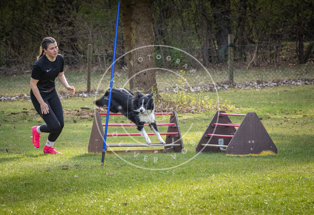 Pfotenfotografie_DV3A3623 | Hundefotografie, Tierfotograf, Pfotenfotografie, Fotoshooting Hund, Hunde Portrait, Hundesport, Hundeportraits, Heideshooting, Hunde, Sportfotograf, Hundefotograf, Turnierhundsport, THS,  - Realisiert mit Pictrs.com