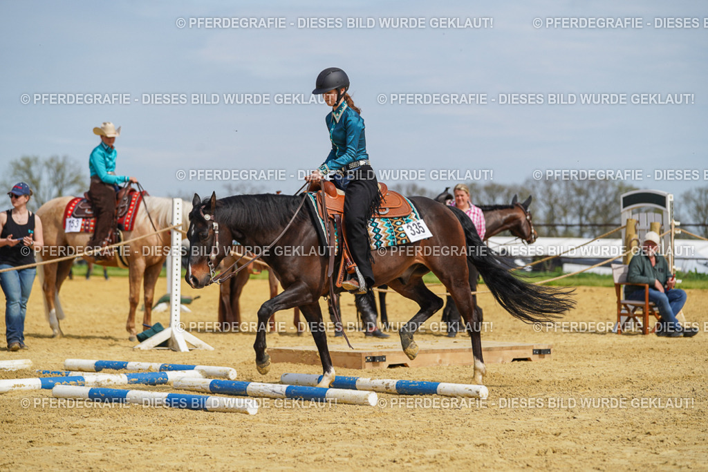 DSC04366 | Pferdegrafie