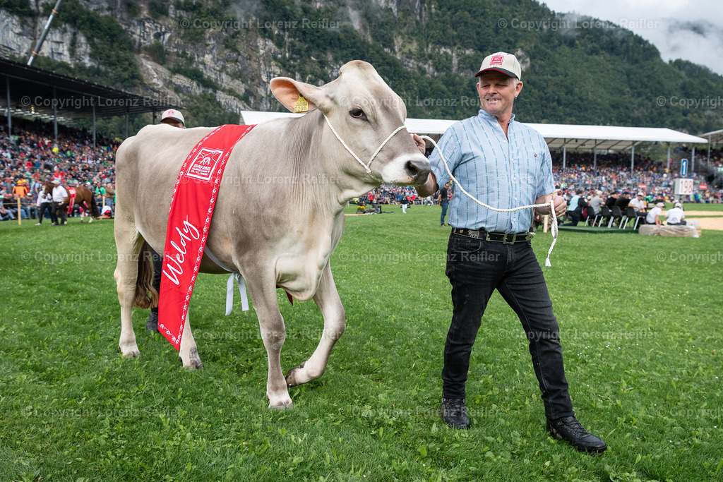 Schwingen -  ESAF 2025 Samstag | Mollis, 30.8.25, Schwingen - ESAF Samstag.