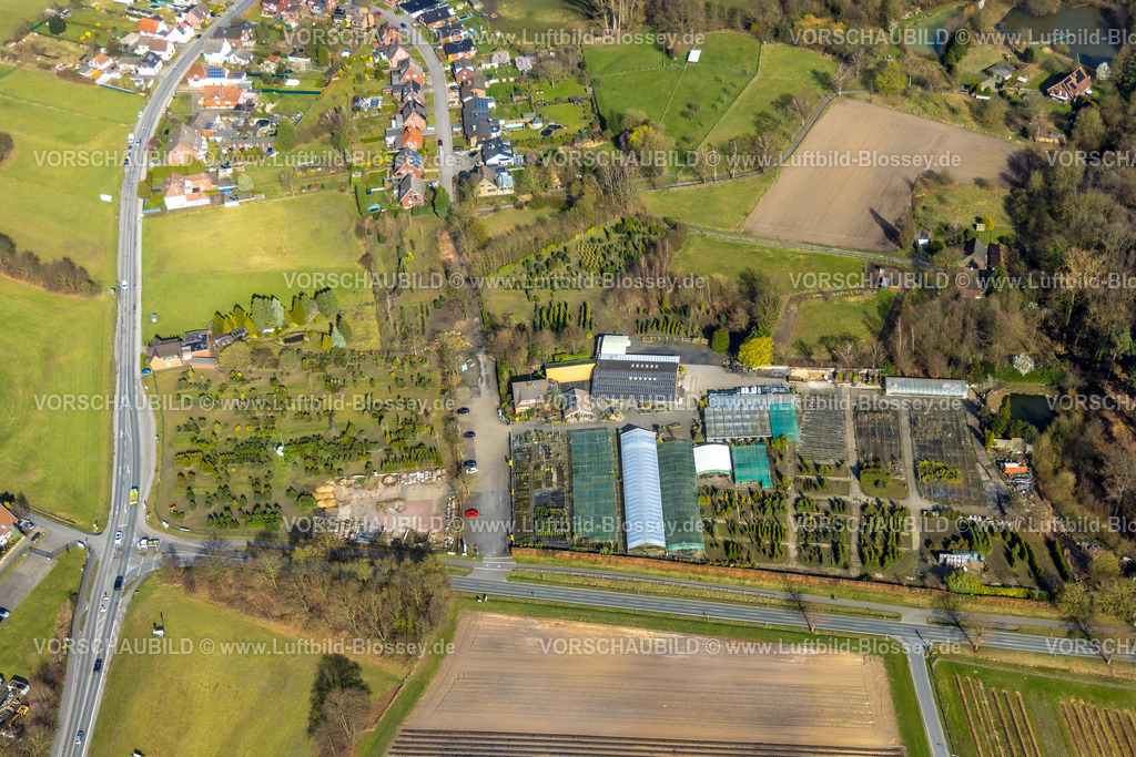 Selm260306839Bork | Luftbild, Gartencenter und GaLaBau Merten, Alstedder Straße, Bork, Selm, Münsterland, Nordrhein-Westfalen, Deutschland