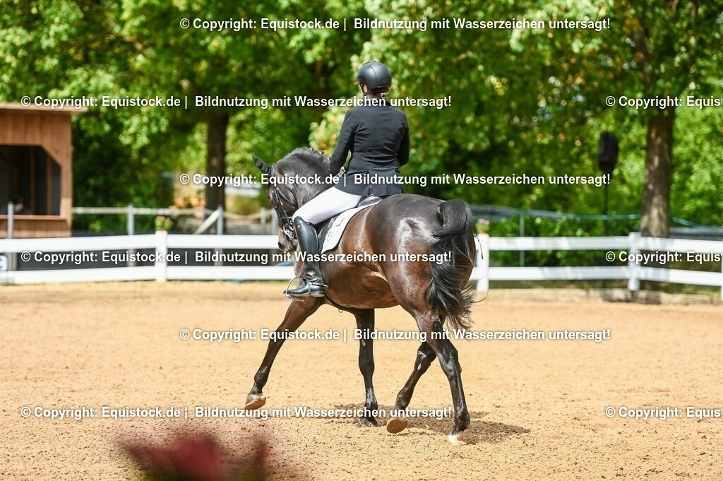 20230716_01_Dressurprüfung Kl.M_0118 | equistock