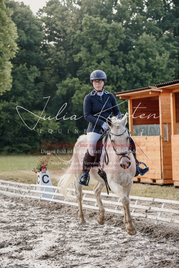 DSC_7960 | Pferde- und Turnierfotografie in Westsachsen. Pferdeportraits, Auftragszeichnungen und intuitive Kunst.
