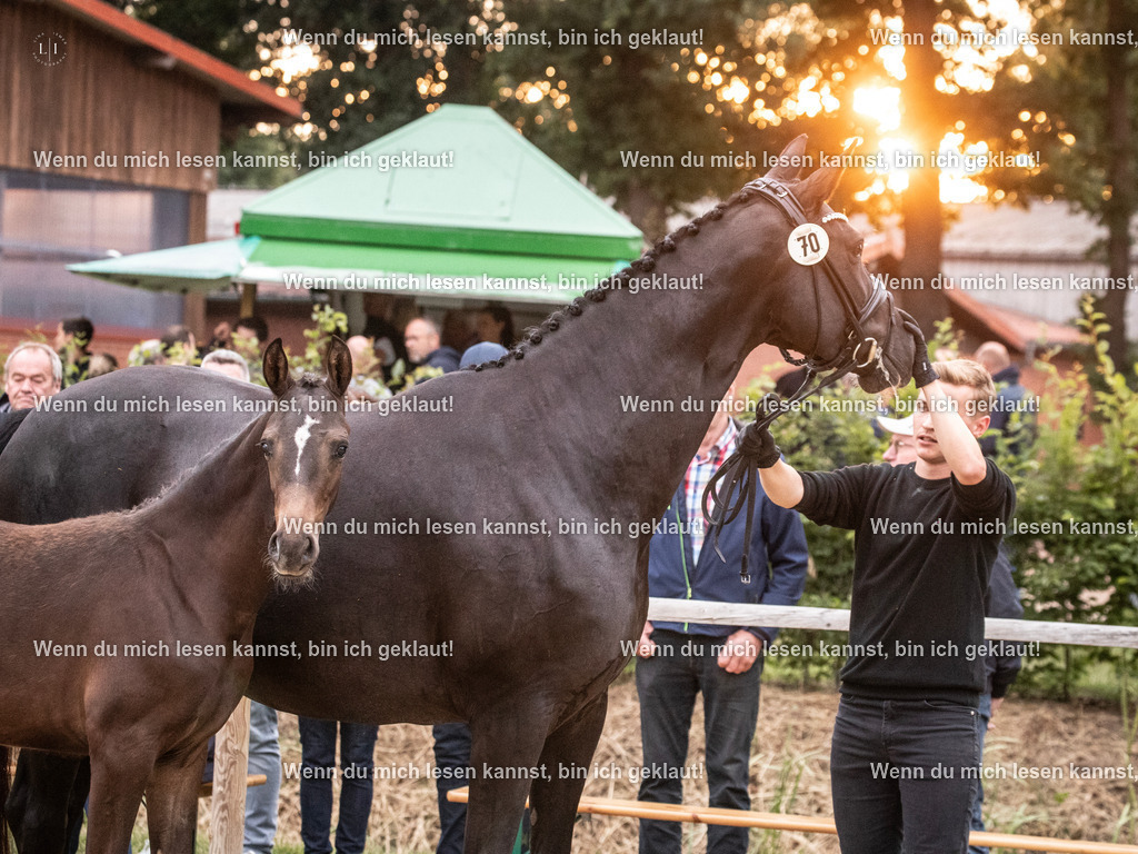 A10I7363 | photographylinaismer - Realisiert mit Pictrs.com