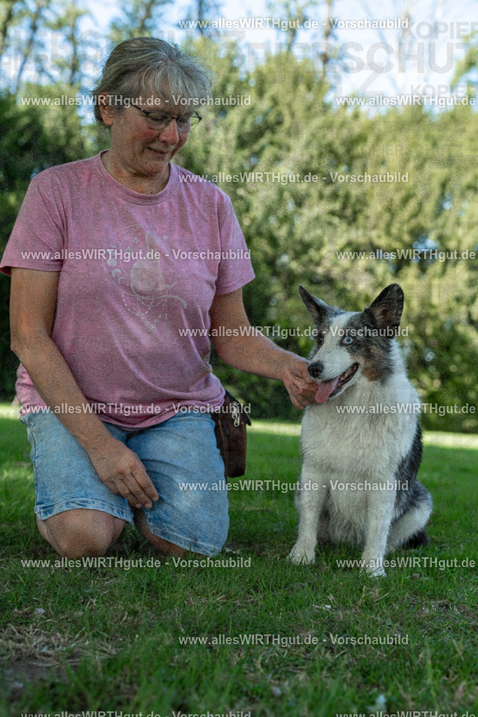 Hundeschwimmen_Volksbad_2026-allesWIRTHgut_Tierfotografie-2609061326-7R500773 | Professionelle Tierfotografie in Mönchengladbach von Daniel Wirth (allesWIRTHgut). Liebevolle & natürliche Bilder von Hunden & Katzen für unvergessliche Erinnerungen.
