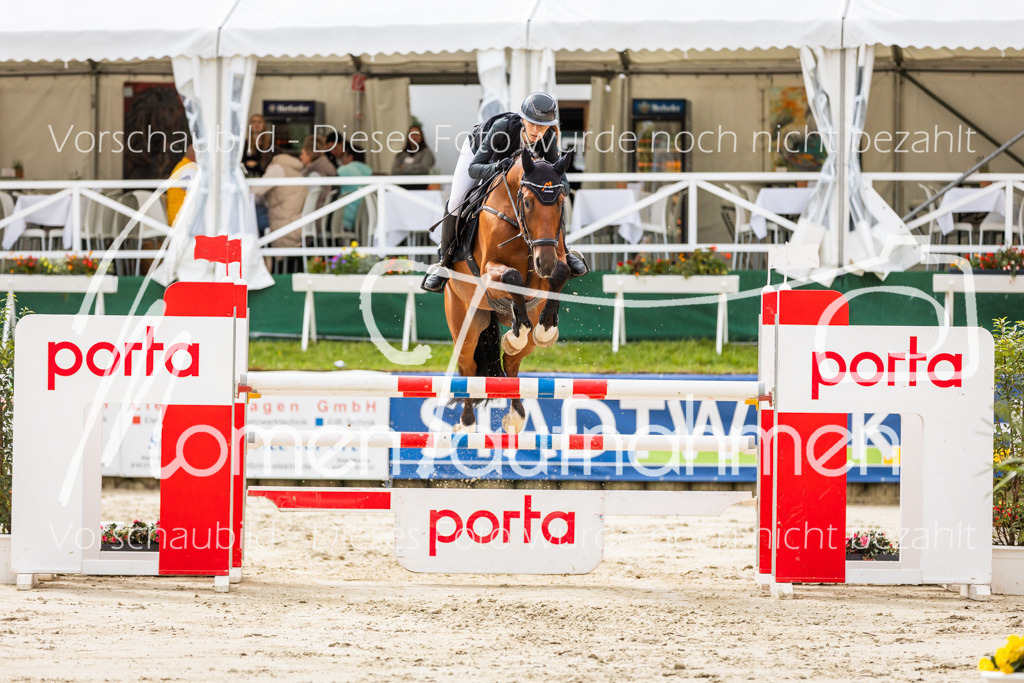 BHO-2PhSpr-M-5-2257 | MomenTaufnahmen Pferdesportfotos