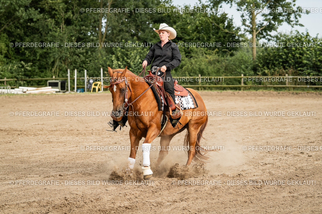 DSC05289 | Pferdegrafie