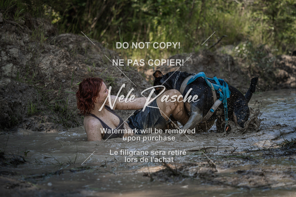 nelerasche_Hoope2026_Sa1500-1530_61 | nelerasche