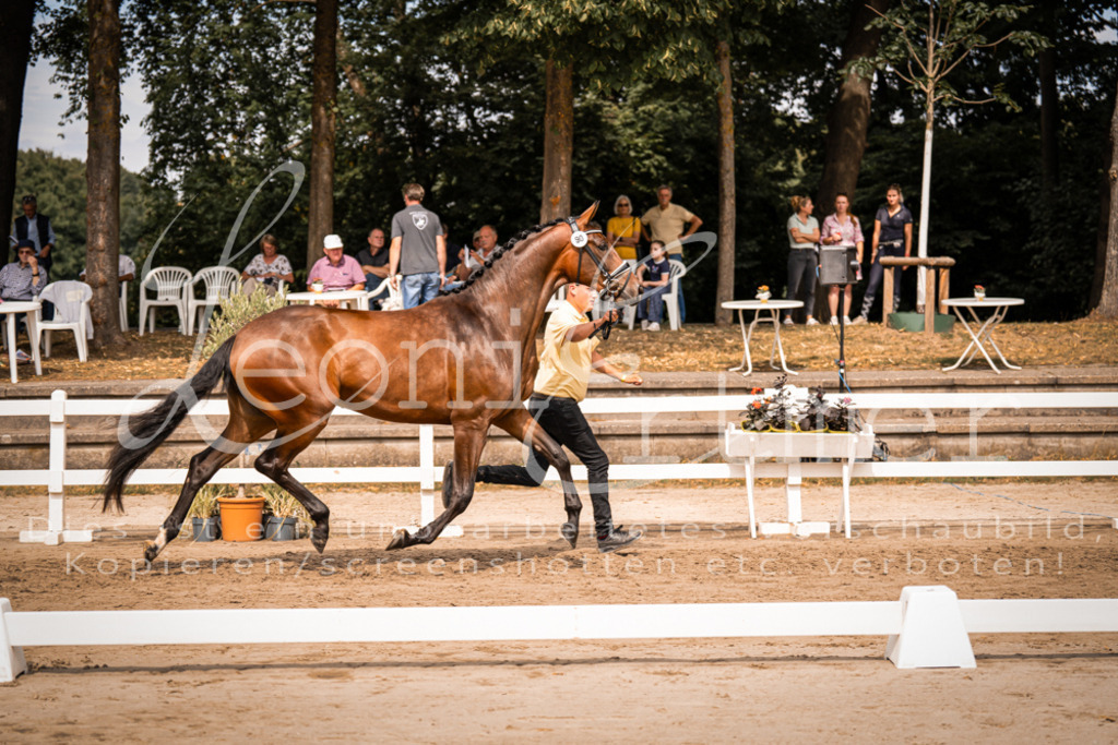 6.Fr00048 | Leoni Ertmer Photography - Realisiert mit Pictrs.com