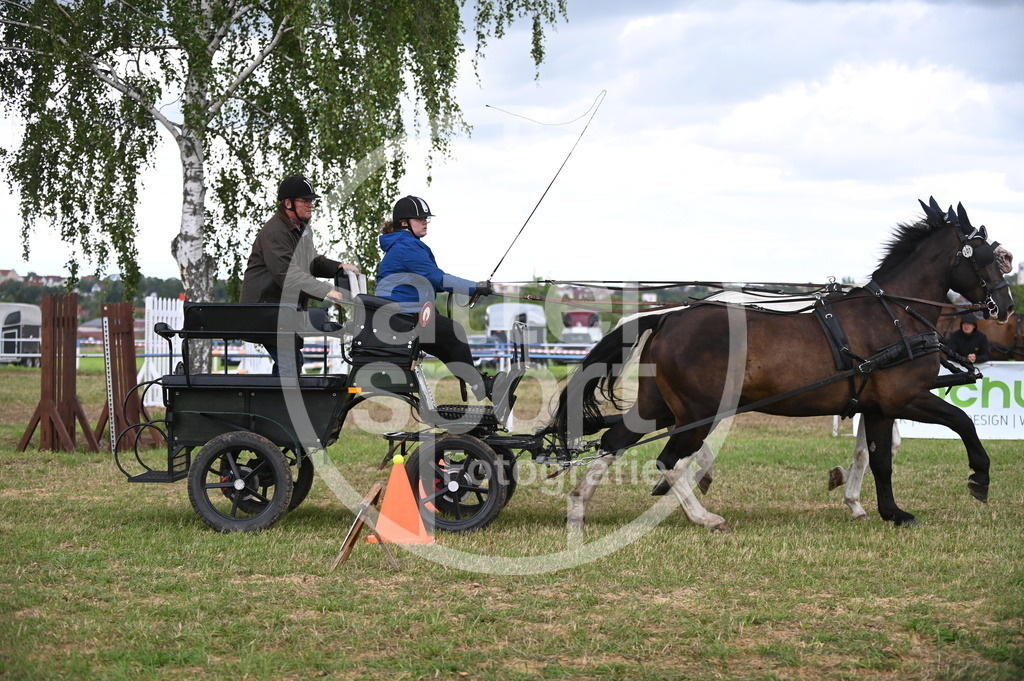 DSC_8481 | sattelsport - Realisiert mit Pictrs.com