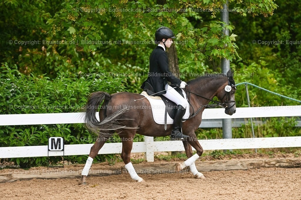 20230716_10-2_Reiter-WB Schritt - Trab - Galopp_0066 | equistock