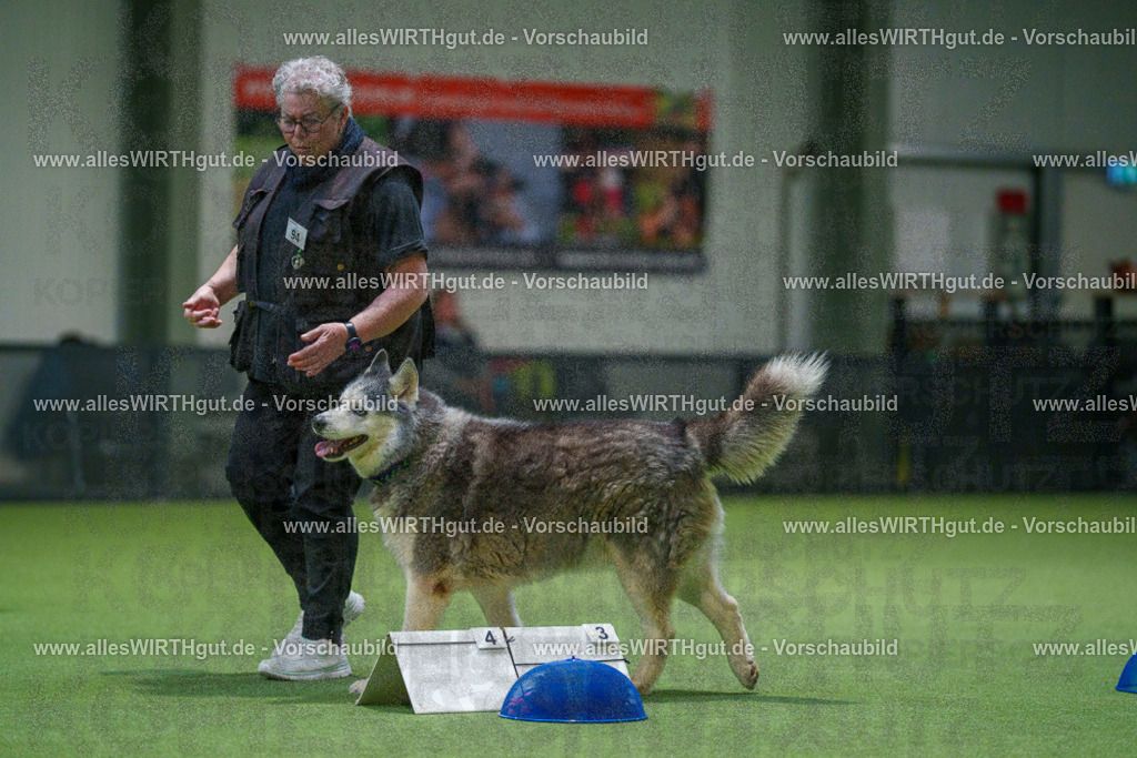 7R504398 | Professionelle Tierfotografie in Mönchengladbach von Daniel Wirth (allesWIRTHgut). Liebevolle & natürliche Bilder von Hunden & Katzen für unvergessliche Erinnerungen.