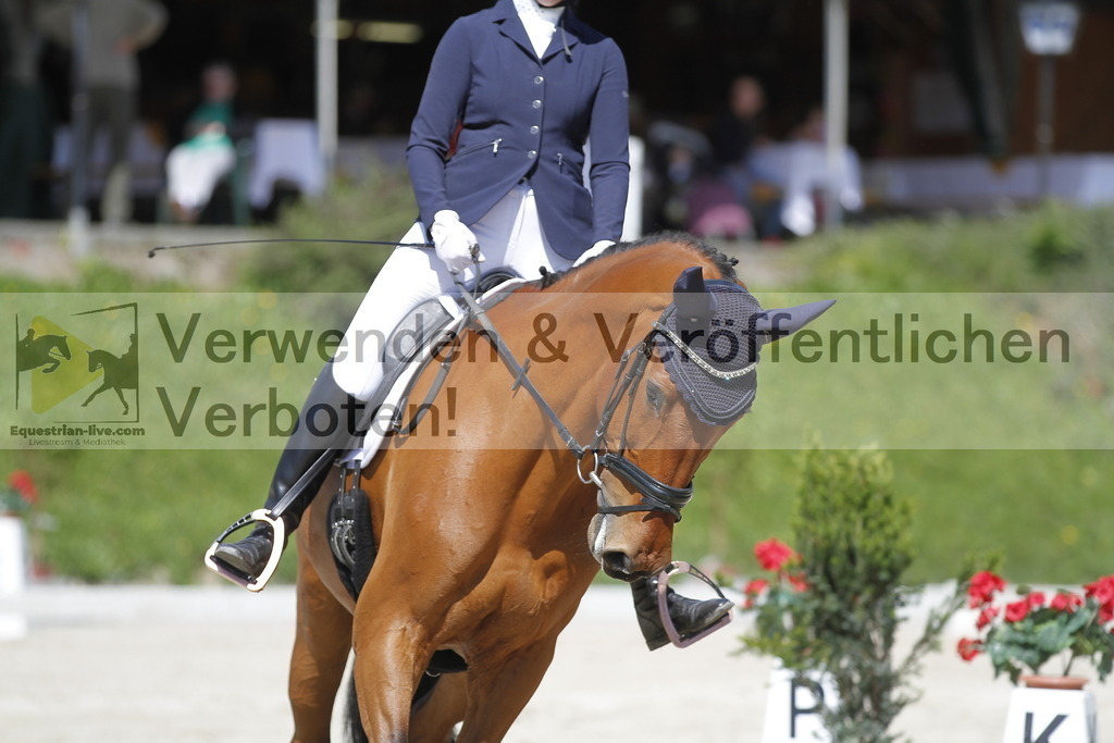 _MG_3799 | equestrian-live-com