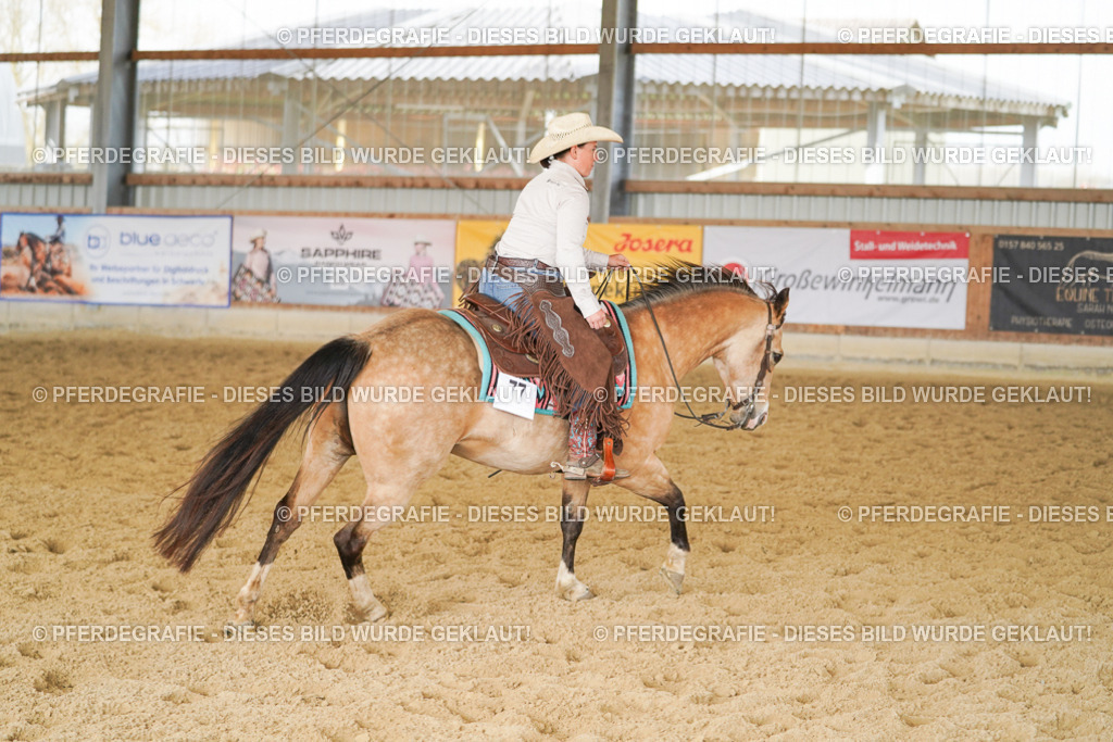 DSC01834 | Pferdegrafie