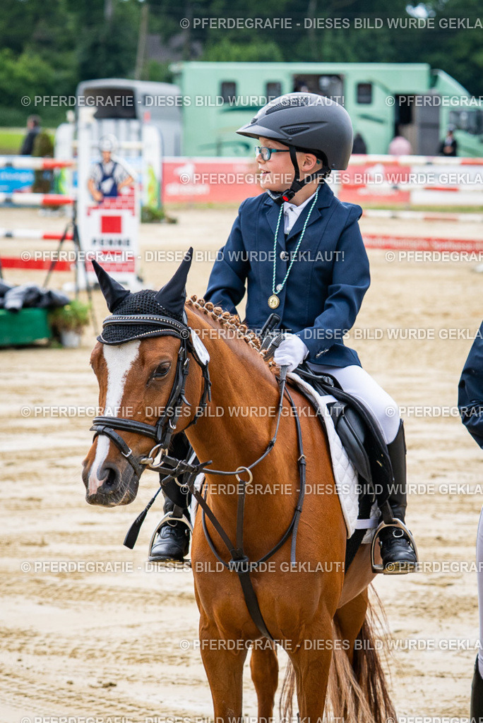 DSC06544 | Pferdegrafie