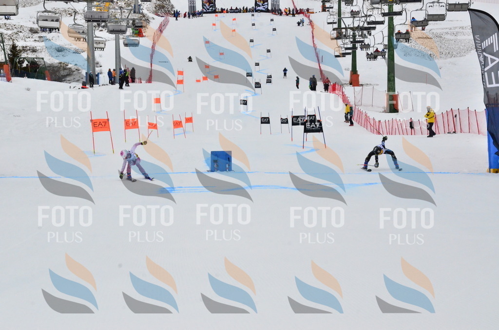 _ELE3639 | holidayphoto